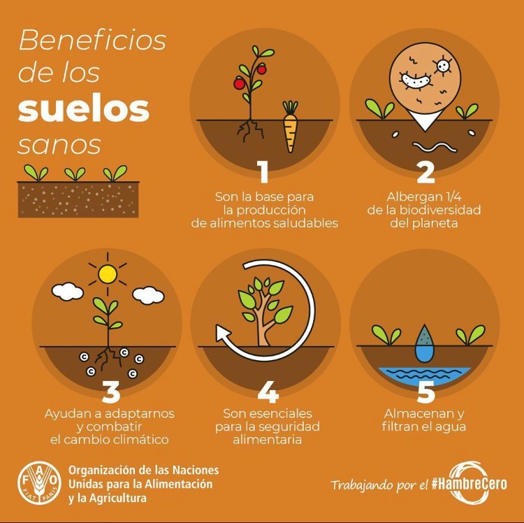 Beneficios de los suelos sanos